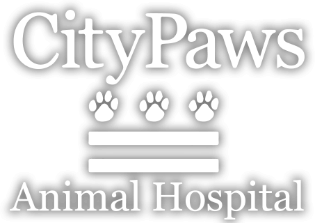 CityPaws Animal Hospital 14th